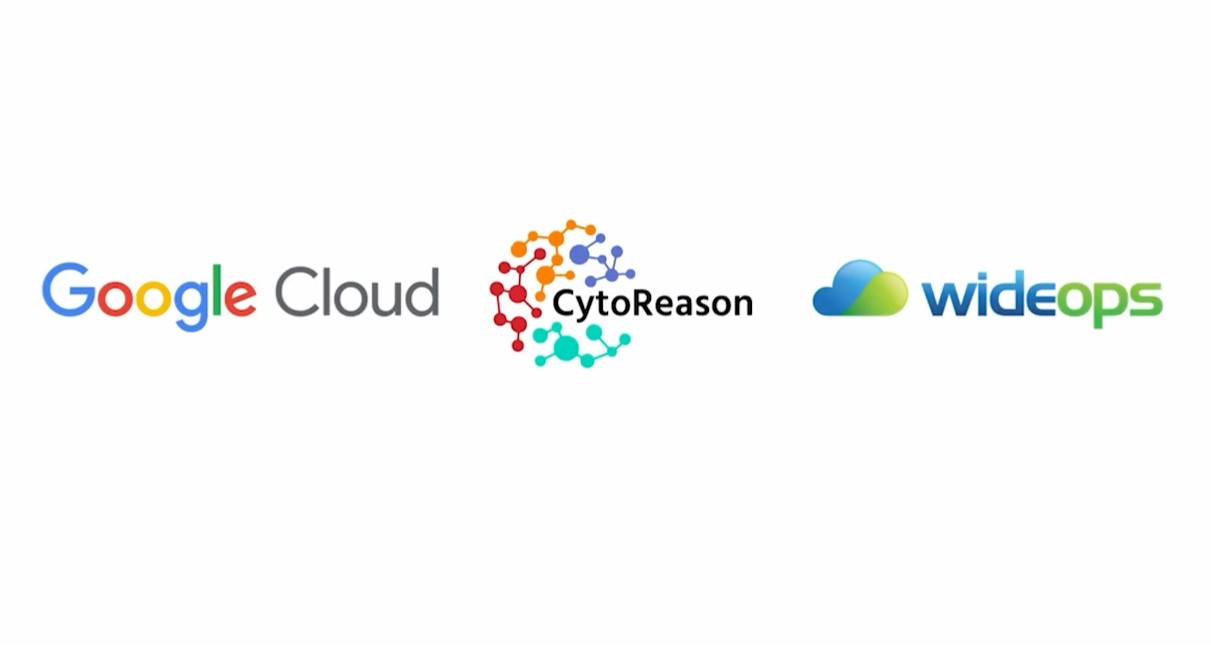 WideOps Supported CytoReason’s Rapid Scale-up